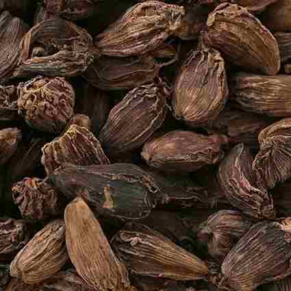 Large Cardamom